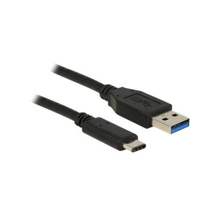 Delock USB plug to USB C plug