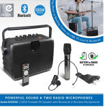 E AudioB423AD100WPortablePASpeakerSystemwithBluetoothandWirelessMicrophones1 747x748