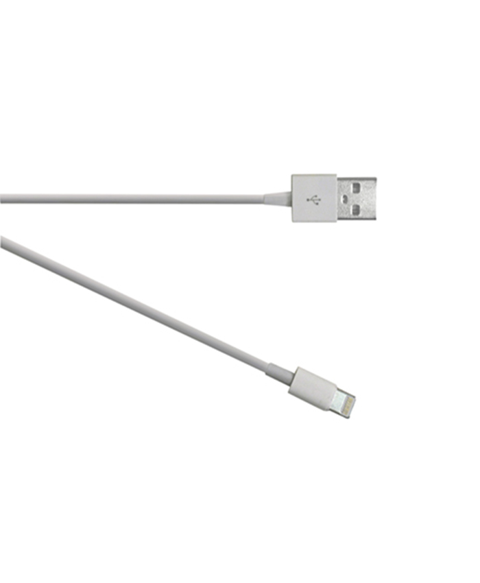 USB plug to USB Lightning plug