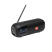 JBL TUNER2 DAB HERO BLACK 053 x2