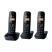 TELEFONO CORDLESS KX TGB613JTB TRIO NERO