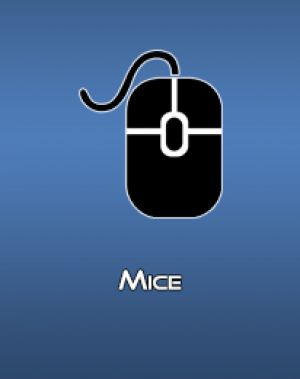 mice4