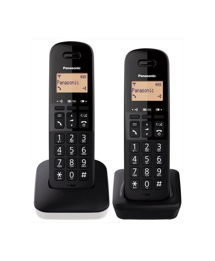 Panasonic KX-TGB612JT W Duo