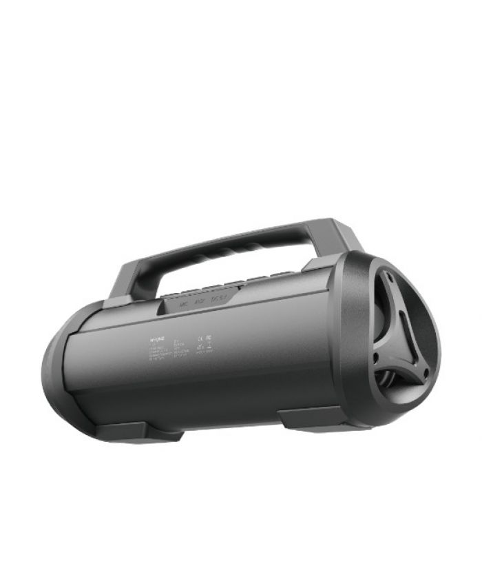 Aiwa MI-X300