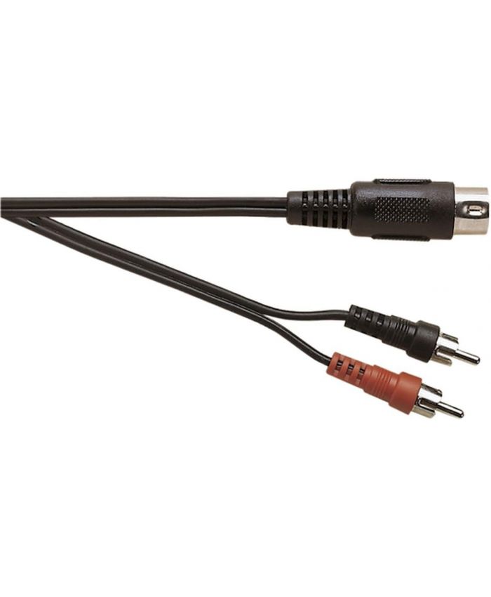 2x Phono to 5 Pin Din (1.2m)