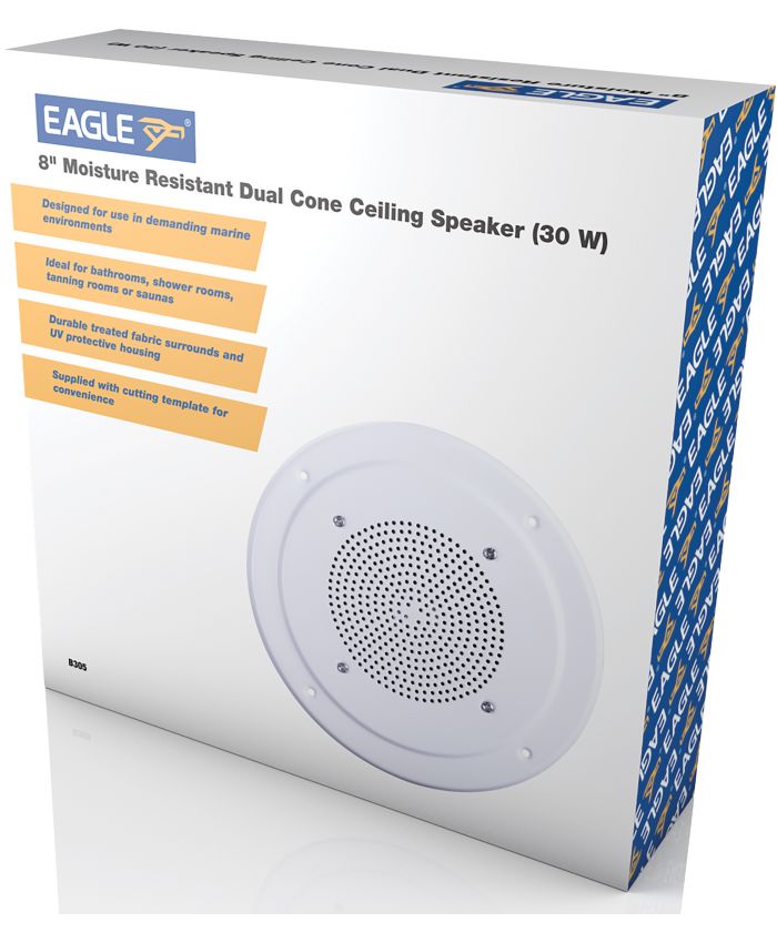 Eagle B305 (100V Line)