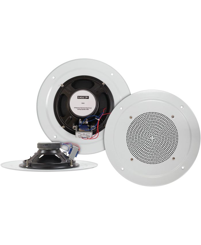 Eagle B305 (100V Line)