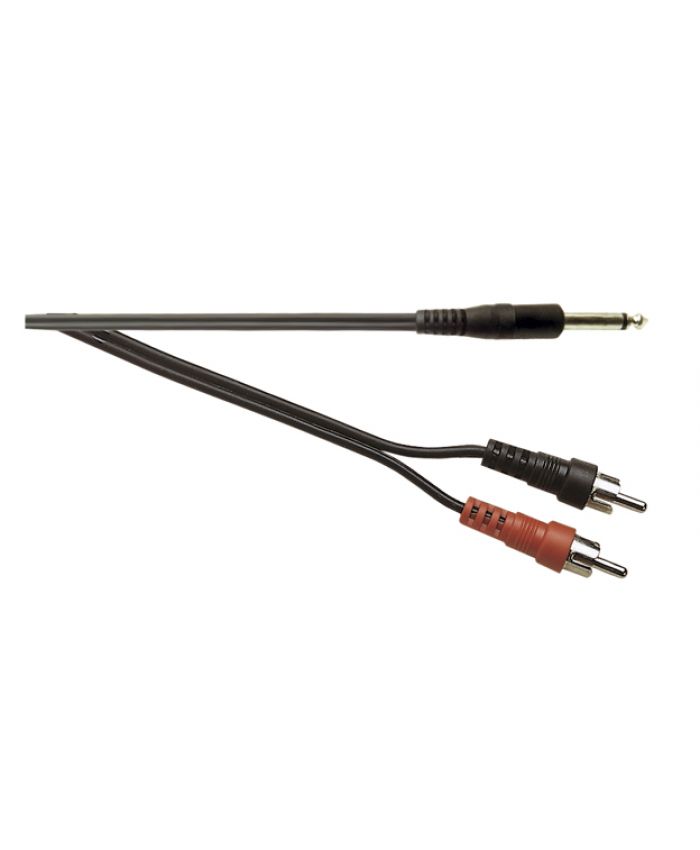 6.35mm Mn. Jack to 2x Ph. (2m)