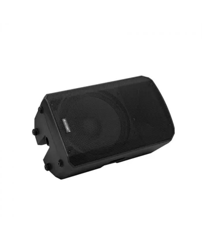 Omnitronic VFM-215 MK2 2-way Speaker