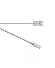 Electrovision A111H USB plug to USB Lightning plug2