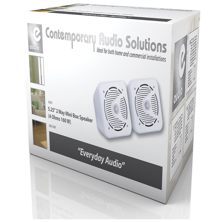 e Audio B420 with packing3